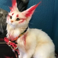 ไวท์/ระบบที่ปรึกษา