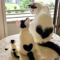 ทุกคน