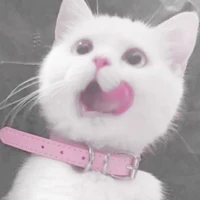 แอดเอง