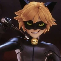 • Cat Noir •