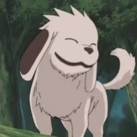 Akamaru