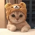 หลิวปัง
