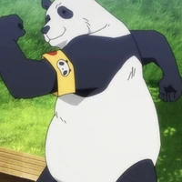 Le Panda 🐼