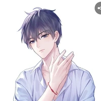Yan Xiao han