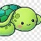 Tortoise / Tini