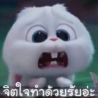 ซิสตี้ (ไรท์เอง)