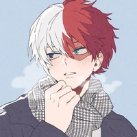 Shoto Todoroki (O.D)