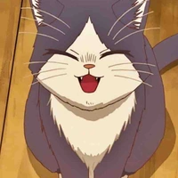 แมว