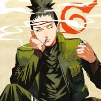 Shikamaru Nara (D.D)