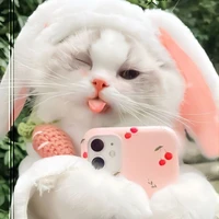 เจ้าบิว(เเมว น.อ)