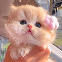 เจ้าหญิง(ลูก ชิม+บิว)