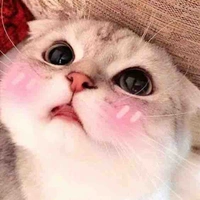 แอด💗