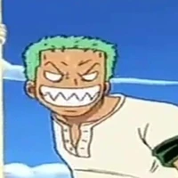 goofy zoro