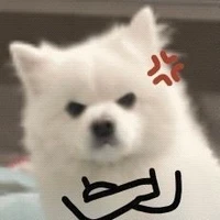 เป็นทุกอย่าง