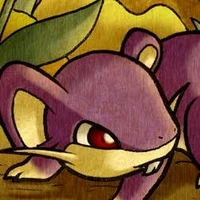 Rattata