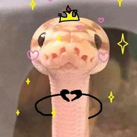 โกโก้