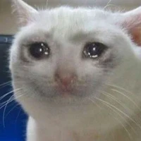 แอดเอง