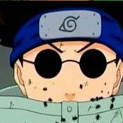 sense shino