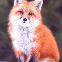 𝒕𝒐𝒅𝒐𝒔- 𝒎𝒊𝒌𝒆𝒚