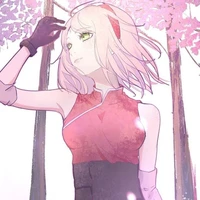 Sakura