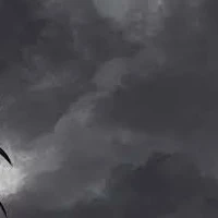 ？？？