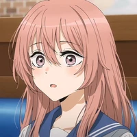 Inui Aily