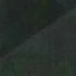 ? ? ?
