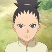 shikadai
