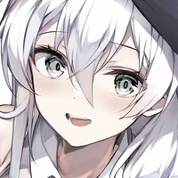 Y/N