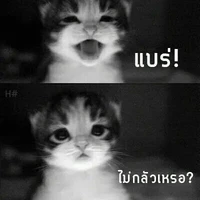 พวก พ.อ