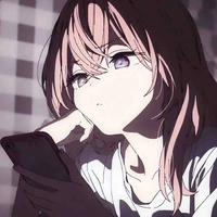 Y/n