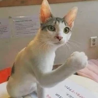 แอดเองๆๆๆ