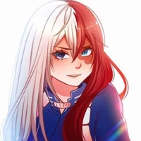 S/n Todoroki