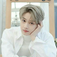 Wen Junhui