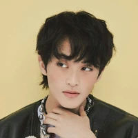 jung mark