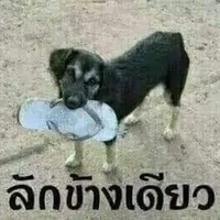 เเอดเองจ้าาาʘ⁠‿⁠ʘ