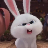 แอดเอง​ติด****