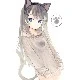 writer