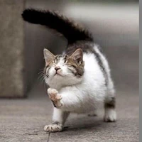 แอด