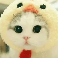 แอดมาย(เพื่อนเเอด)