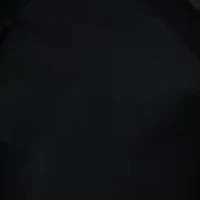Pemilik Kuda