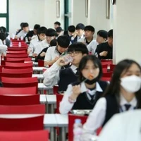 All Student