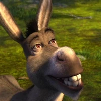 donkey