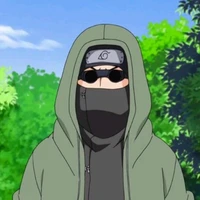 Shino (alfa)
