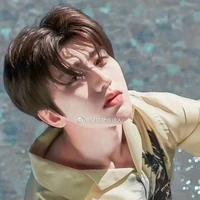 เสือ