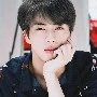 Kim Seok jin