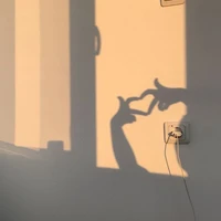 y/n