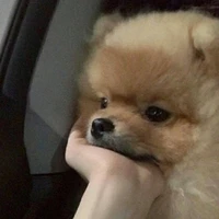 เเอดเองไงจะใครอีก
