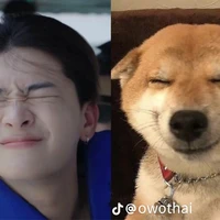 น้องญ่าไง
