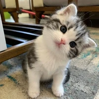 ซานซ่า